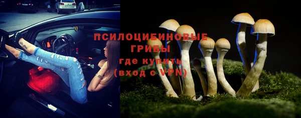 ECSTASY Саяногорск