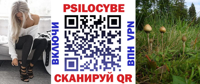 Псилоцибиновые грибы прущие грибы  наркошоп  блэк спрут рабочий сайт  Старица 